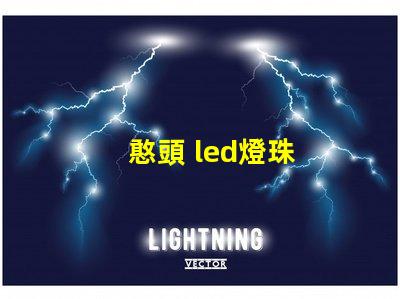 憨頭 led燈珠